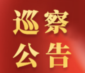 巡 察 公 告